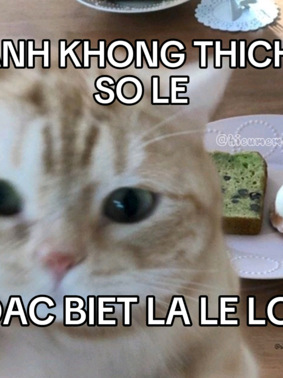 ANH KHONG THICH SO LE👤 #viral #nhachaymoingay #omsau #nhacremix #xuhuong #hieumeme09 #trend #xh #fyp #xuhuongtiktok 