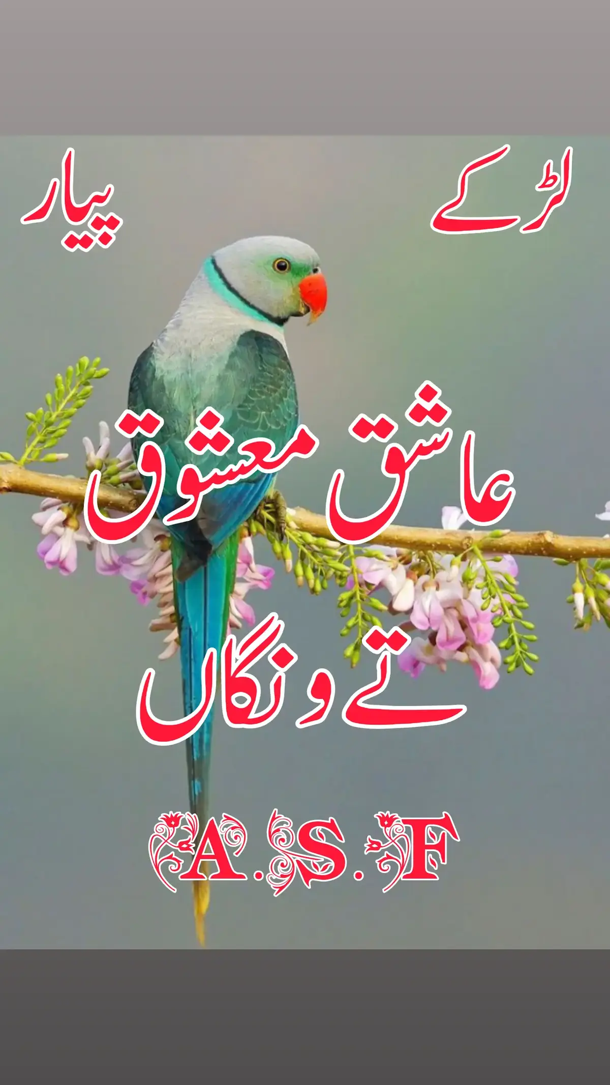 #سرائیکی_سٹیٹس،سرائیکی۔سونگ🌹  #سرائیکی_سٹیٹس،ویڈیو  #سرائیکی۔سونگ🌹✌️❣️ #اسٹیٹس۔۔۔۔۔۔۔۔۔۔❤ #اسٹیٹس_وائیرل #WhatsAppstatus  #whatsappstatusvideo #whatsappstatus   Tiktok team video viral karo Unfreeze my Accounts  ولا سوچ @پیام عشق 