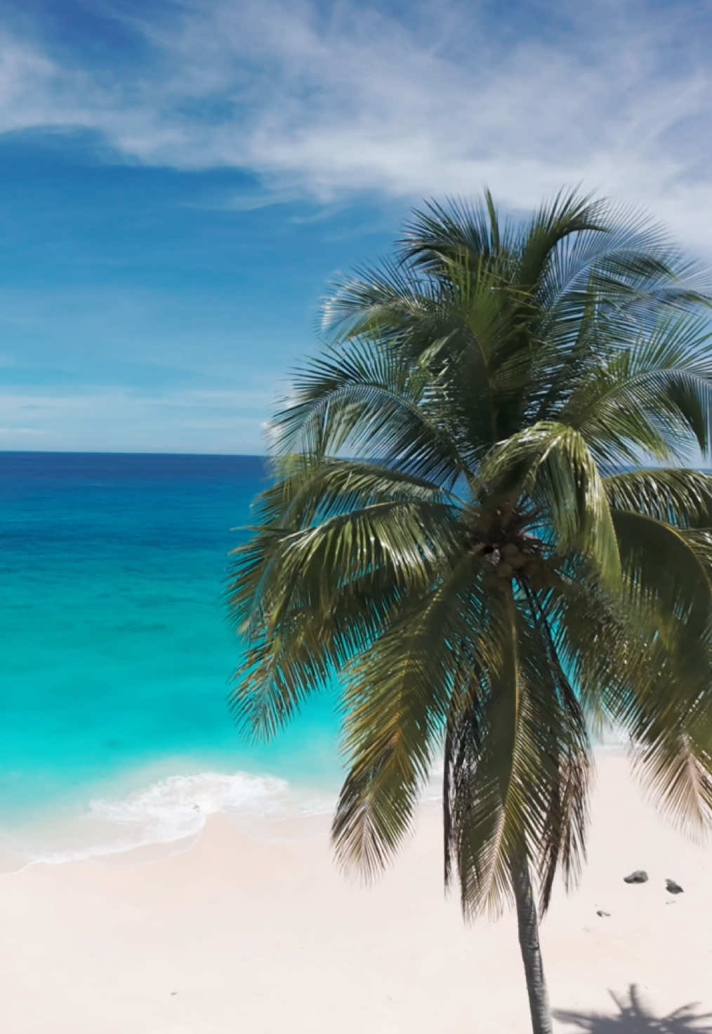 Berlibur ke Pantai Mandel di Banggai Kepulauan itu pengalaman yang gak bakal terlupakan! 🌴✨ Bayangin menikmati pasir putih, air laut yang jernih, dan suasana tenang sambil merekam semuanya dengan drone. Rekaman drone menangkap keindahan pantai dari sudut pandang yang epik, bikin kita semakin kagum sama keindahan alam ini. Yuk, ambil drone kalian dan abadikan momen-momen indah di Pantai Mandel! 📍Pantai Mandel - Banggai Kepulauan - Sulteng - Indonesia . #dronebanggai #vidiodrone #dji #djindonesia #djiera #jelajahindonesia #pemandangan #beach #pantai #pantaimandel #mandelbeach #wisata #liburan #destinasi #banggaikepulauan #banggai #fyp #masuk 