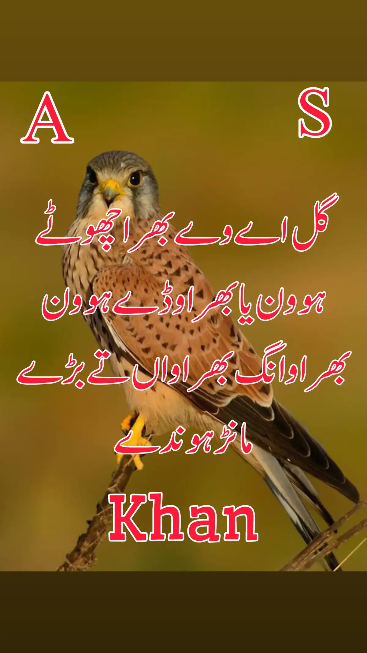 #سرائیکی_سٹیٹس،سرائیکی۔سونگ🌹  #سرائیکی_سٹیٹس،ویڈیو  #سرائیکی۔سونگ🌹✌️❣️ #اسٹیٹس۔۔۔۔۔۔۔۔۔۔❤ #اسٹیٹس_وائیرل #WhatsAppstatus  #whatsappstatusvideo #whatsappstatus   Tiktok team video viral karo Unfreeze my Accounts  ولا سوچ @پیام عشق 