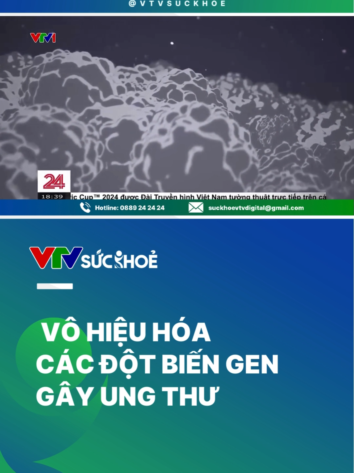 Các nhà nghiên cứu ở Australia đã chứng minh rằng có thể sử dụng công cụ chỉnh sửa gen để vô hiệu hóa các đột biến gen gây ung thư tuyến tụy, đại trực tràng và phổi.#VTVSUCKHOE #VTVDIGITAL #VTV24