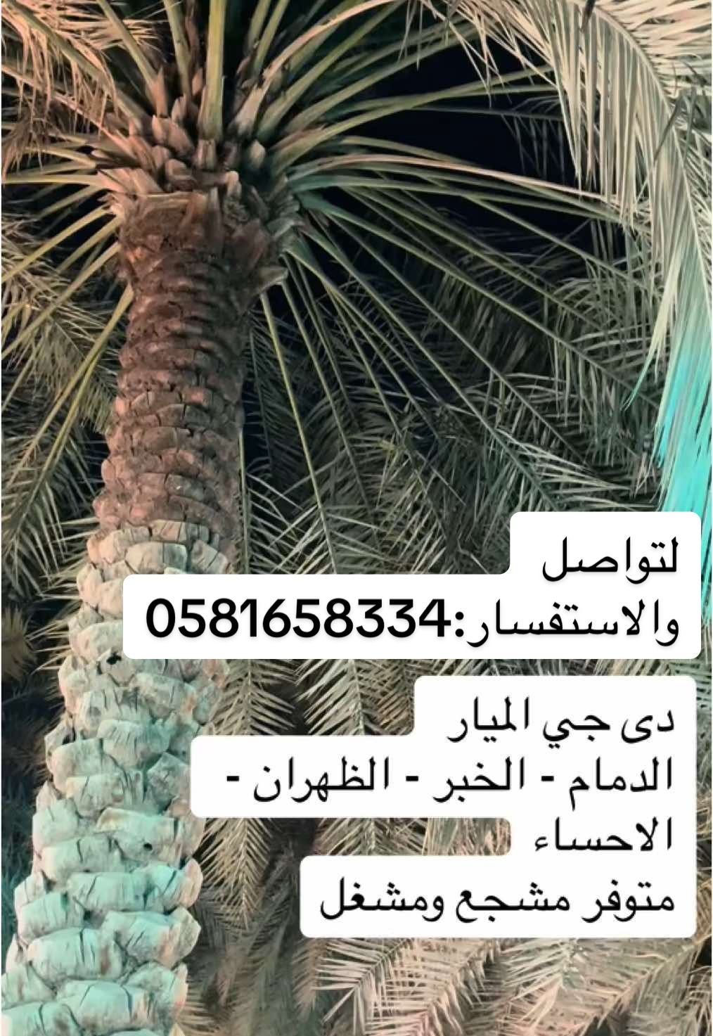 #طقاقات #ريه #الدمام #ام_الساهك #الاحساء #الجبيل #طرب #المبرز #الهفوف #الخبر #الظهران #اكسبلور 