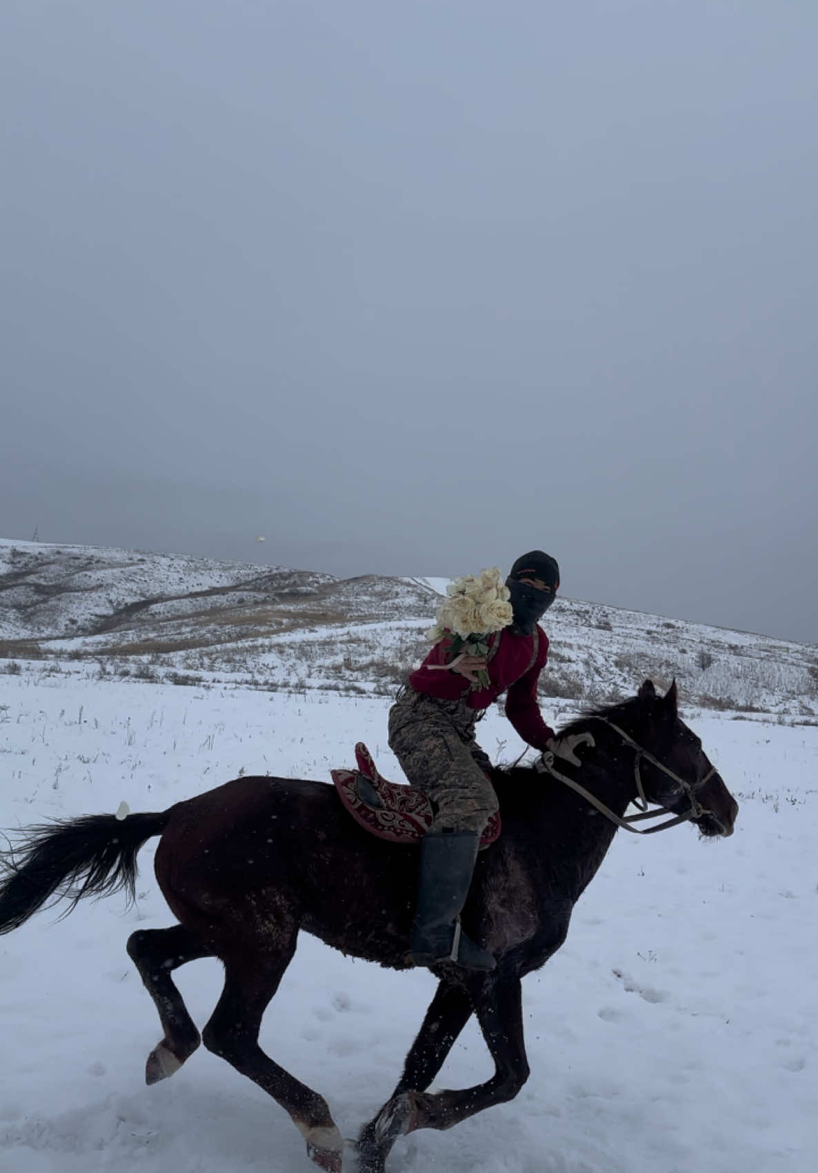 Қолымда бір шоқ гүл, өзіңе асықпын.. #рекомендации #рек #🐎 #❤️ #прогулка 