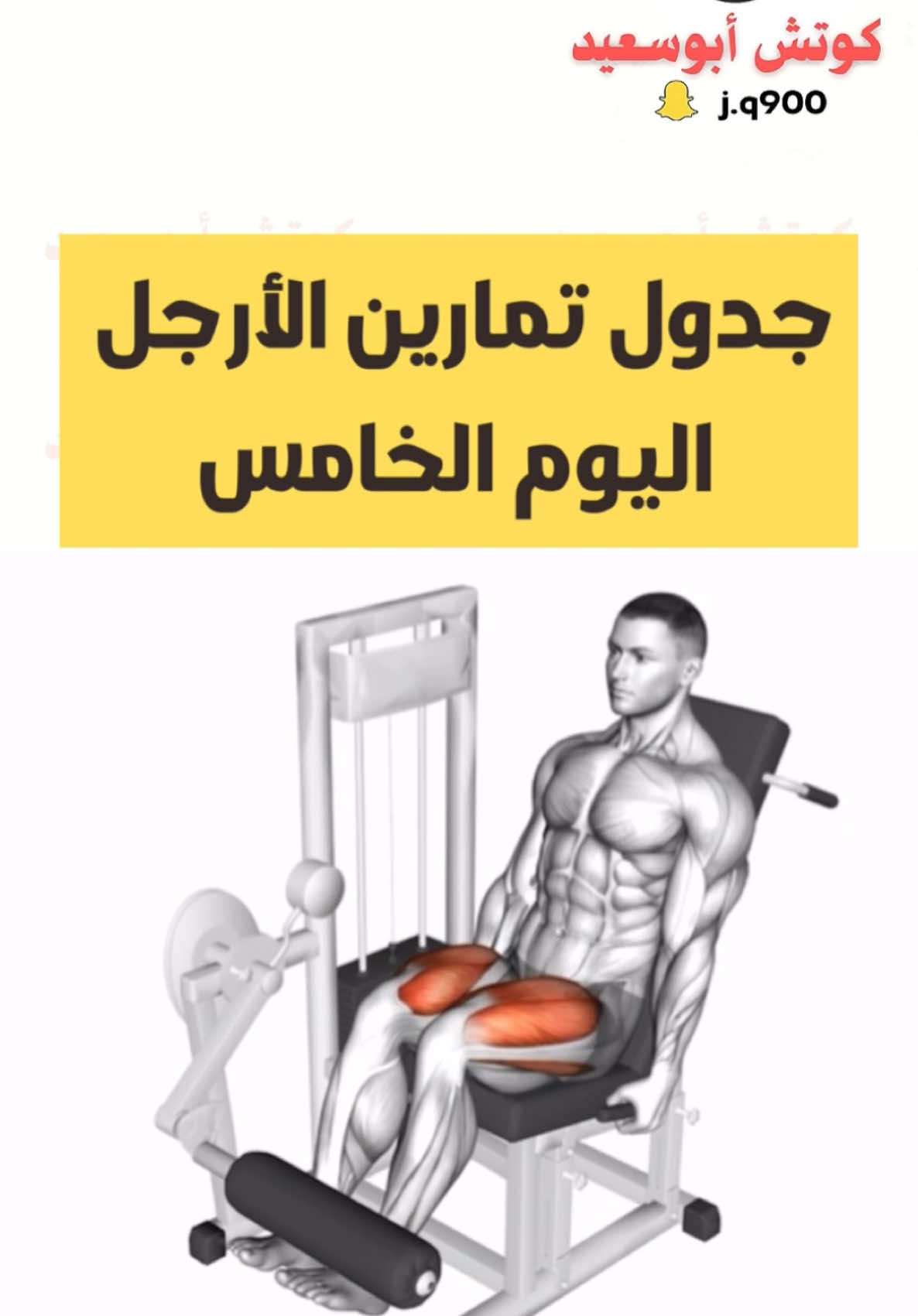 جدول تمارين الأرجل كامله اليوم الاخير #كمال_اجسام #اكسبلور #workout 