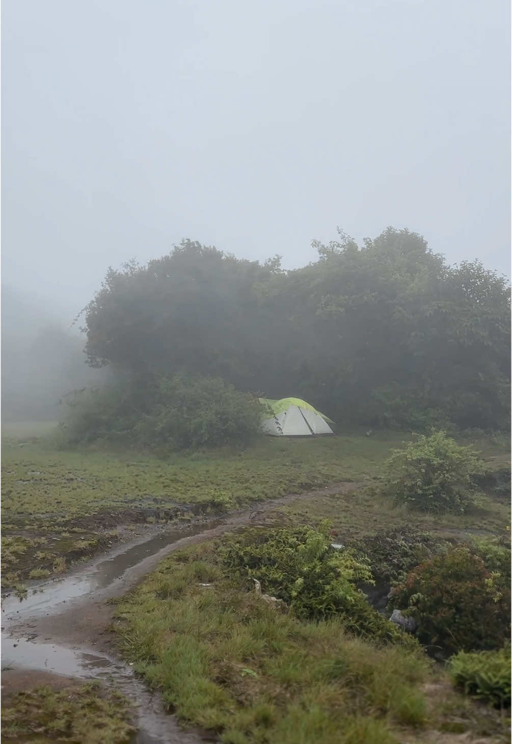 dempo seindah ini #gunungdempo3159mdpl #pelatarangunungdempo #gunungdempo 