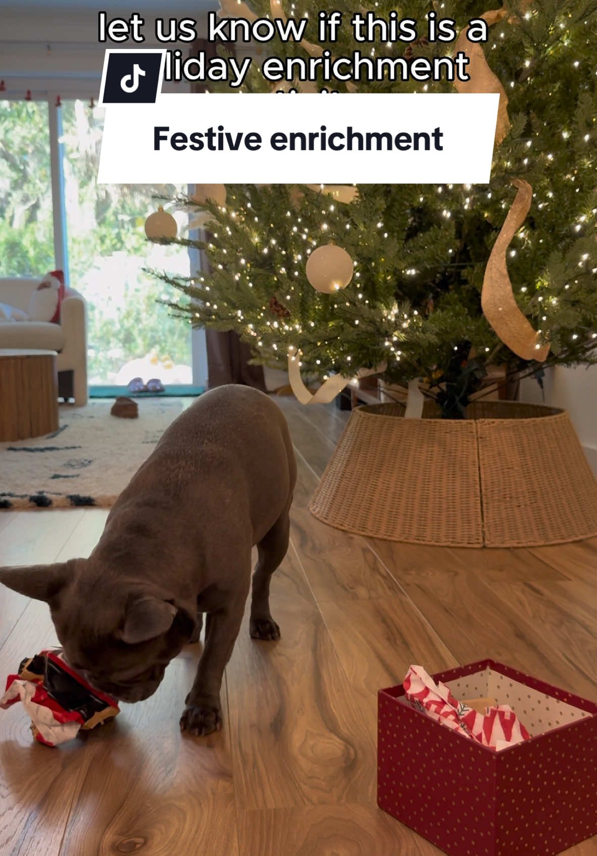 There is nothing better to keep your dog occupied this holiday season than an enrichment activity 🐶 Enrichment activities can wear your dog out better than a long walk. Here’s a holiday spin on an enrichment classic🎁 #lavenderandlatte #dogenrichment #enrichmentactivities @Dog is Human 