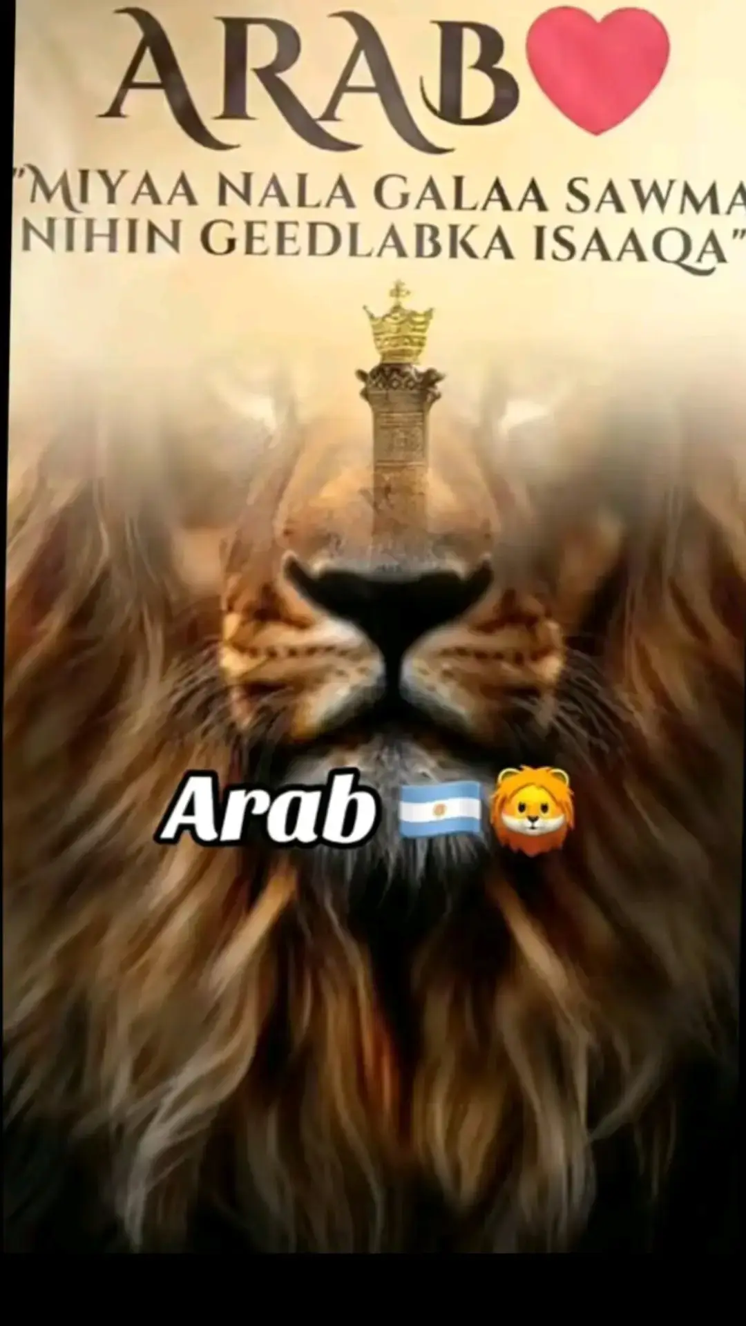 wanakan cagdHerEYy Haduu gurigagu Ba,ayYy🥷👀🐅 @geed labka 🐅 🐯 💪 #arab #army #geedlabkaarab 