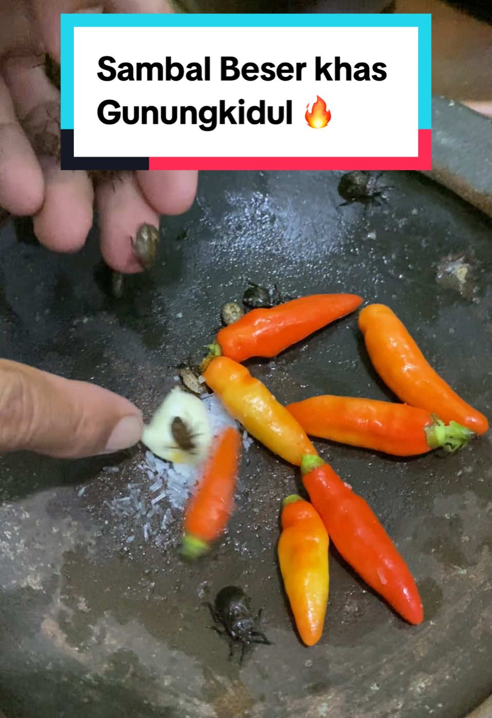 Sambal Beser + sego thiwul + sayur dong waluh + lalapan petai 👍 🔥 #gunungkidul #sambalbeser #gunungkidul24jam #gunungkidulupdate #gunungkidulyogyakarta #kulinerviral #kulinergunungkidul #makananviral #makananenak #sambal #wisatakuliner #jogja #jogja24jam #jogjaistimewa #pesonaindonesia #wonderfullindonesia #videoviral #viraltiktokvideo #fy #fyp #fypシ #fypシ゚viral 