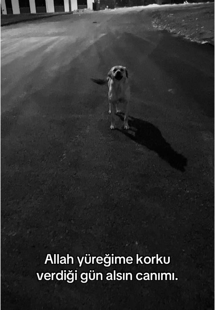 #keşfet 