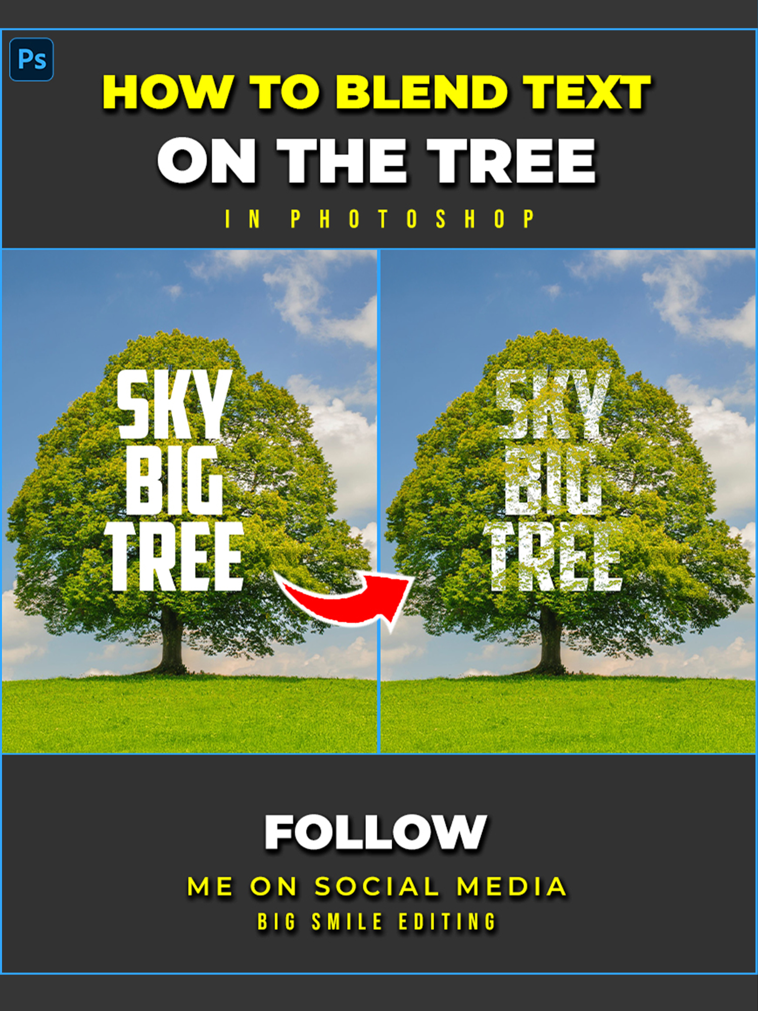 How to blending text to tree background in Adobe Photoshop #photoshoptricks #tutorials #designer #tutorial #photoshop #photography #adobe #adobephotoshop #bigsmileediting