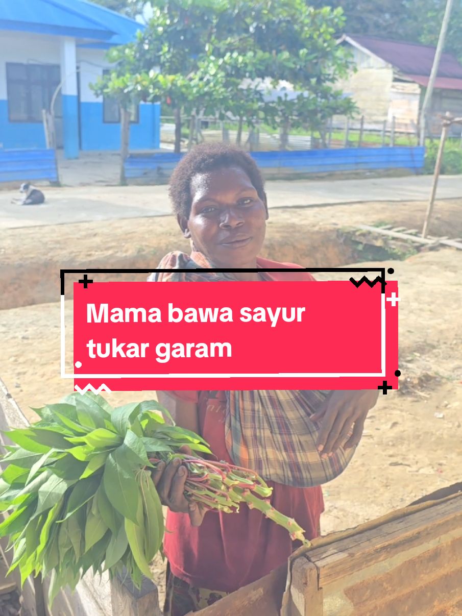 Mama datang bawa Sayur ubi segenggam untuk barter. katanya dia mau masak tapi di rumah tidak ada apa