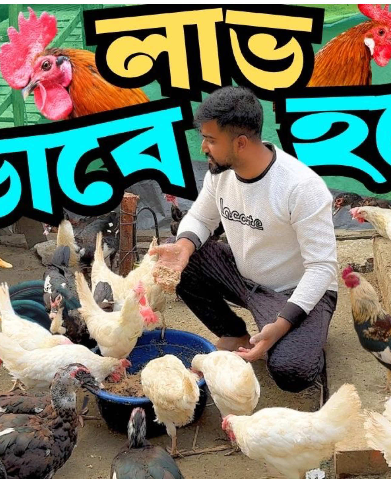 বর্তমানে দেশি মুরগি কিভাবে পালন করলে লাভবান হতে পারবেন? .  প্রাণিজ খাদ্যের অধিক দাম ও বাজারে উৎপাদিত পণ্যের দাম কম থাকায় কৃষক নিয়মিত লস এর সম্মুখীন হচ্ছে । আর এই কারণে বিভিন্ন উদ্যোক্তা ও কৃষক তাদের কৃষি খামার বা ফার্ম বন্ধ করতে বাধ্য হয়ে যাচ্ছে । তাই আমি আমার মত করে অল্প খরচে দেশি মুরগি ও চিনা হাঁস উৎপাদন করে আশা করছি আগামী দিনে লাভ করতে পারব এবং সেই জিনিসটা আপনাদেরকে দেখানোর চেষ্টা করলাম যে কিভাবে করা যায় ।...   যেকোনো প্রয়োজনে পরামর্শের জন্য আমাদের হোয়াটসঅ্যাপ নাম্বারে যোগাযোগ করুন +8801794207077 #plants #animals #agriculture #deshimurgi #goru 