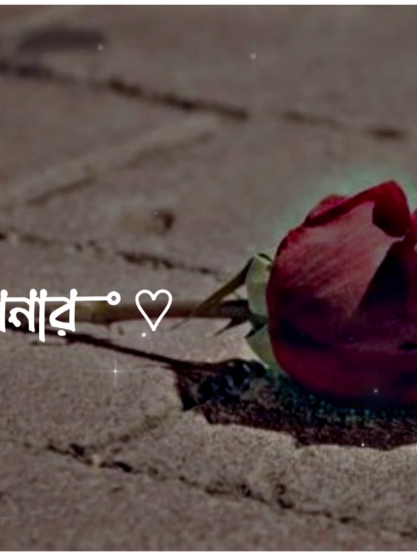 আপনার মুখ টা না দেখিলে পারি না ঘুমাইতে..,🥺🎧🌼 : #বাংলায়_স্ট্যাটাস #bangla_song #bd_status_lover_007 @TikTok @TikTok Bangladesh 