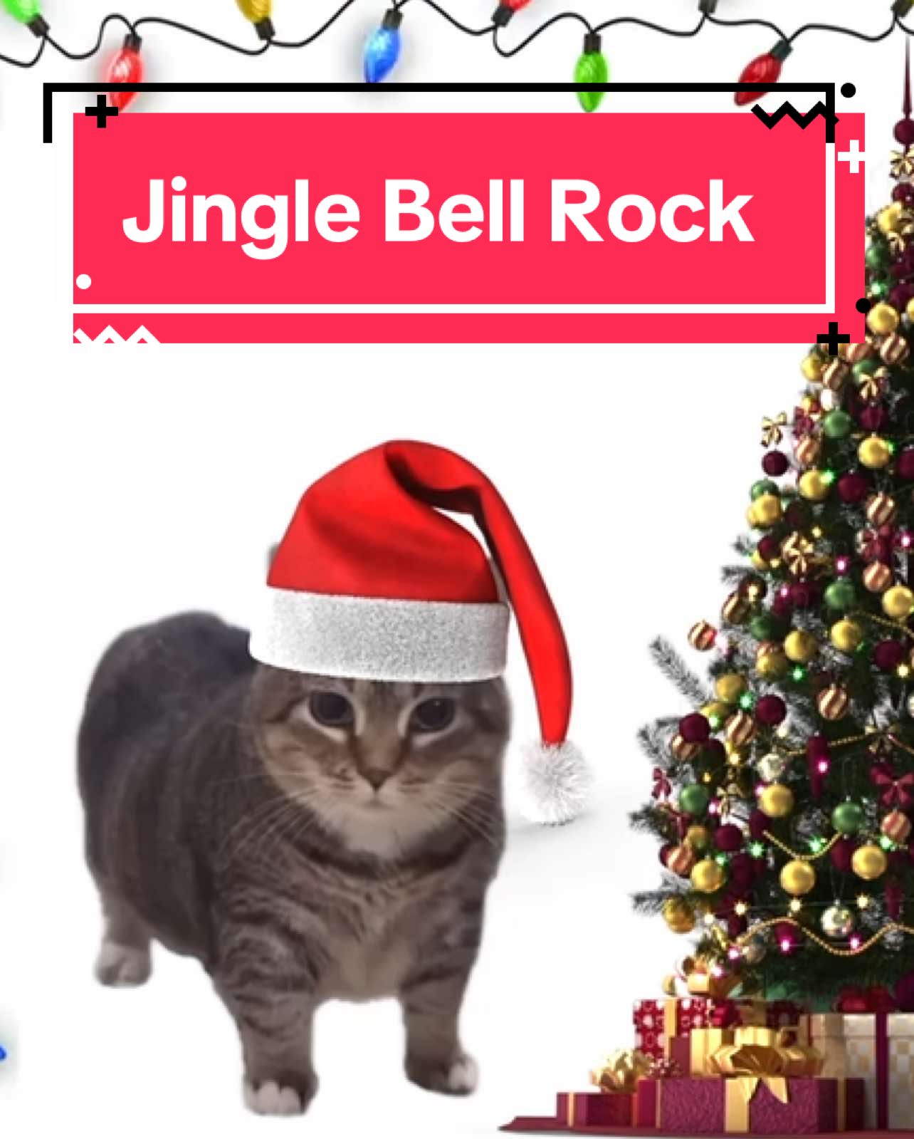 Meow bell rock #cats #catsoftiktok 