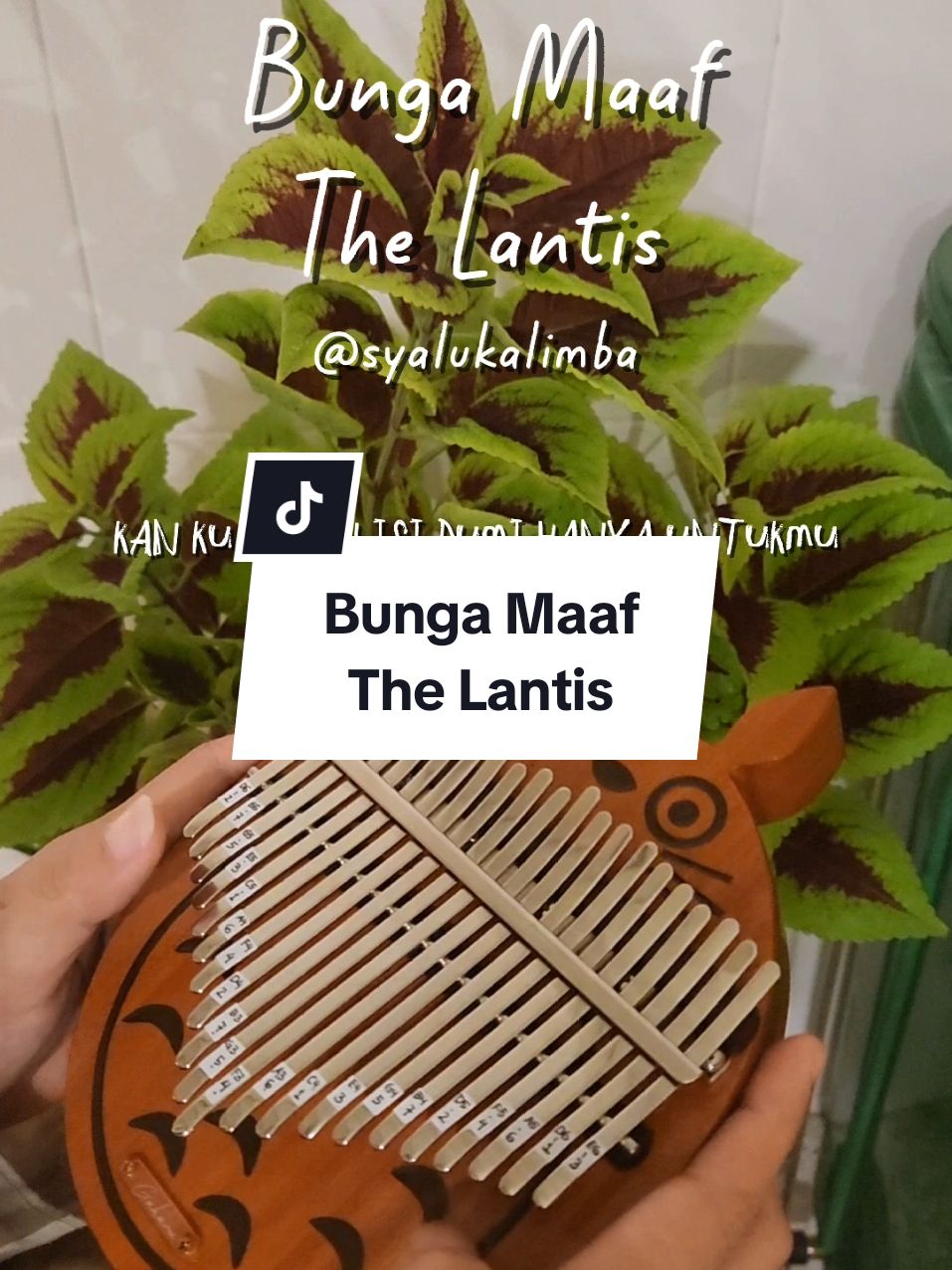 Melow dulu bersama 🍃 Bunga Maaf - The Lantis @thelantis 🎶 #kalimba #kalimbacover #bungamaaf  #thelantis 