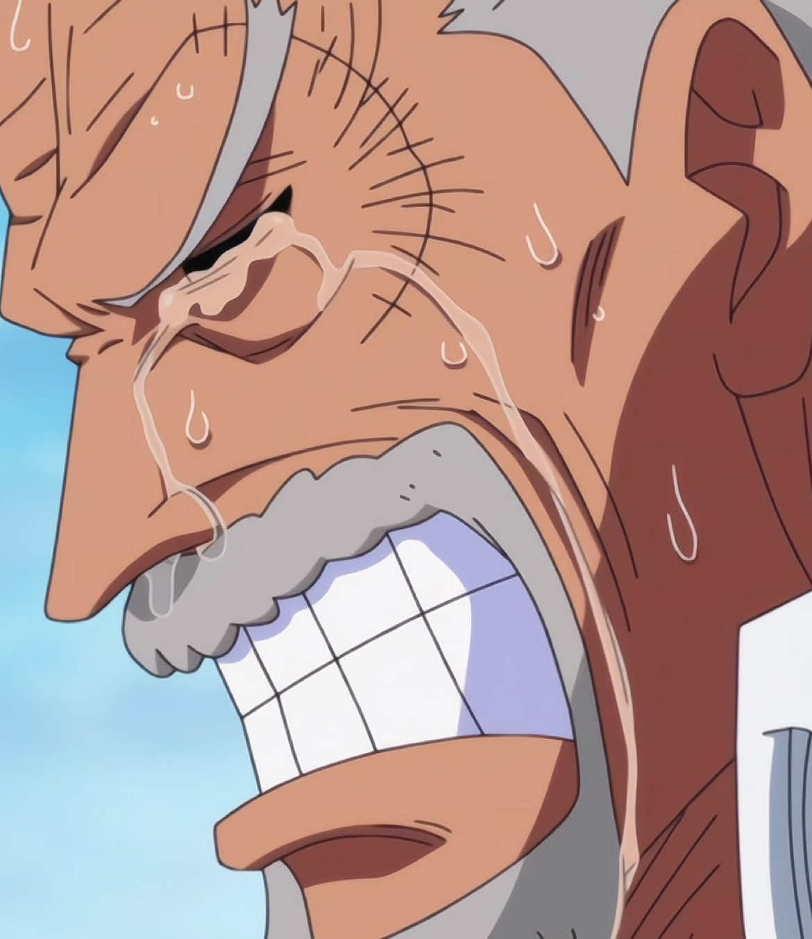 Garp😭 ||#fy #foryou #garp #monkeydgarp #ace #onepiece #anime #fypシ #fyfyfy 