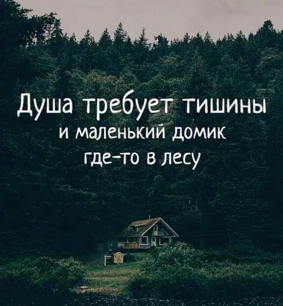 #врек 