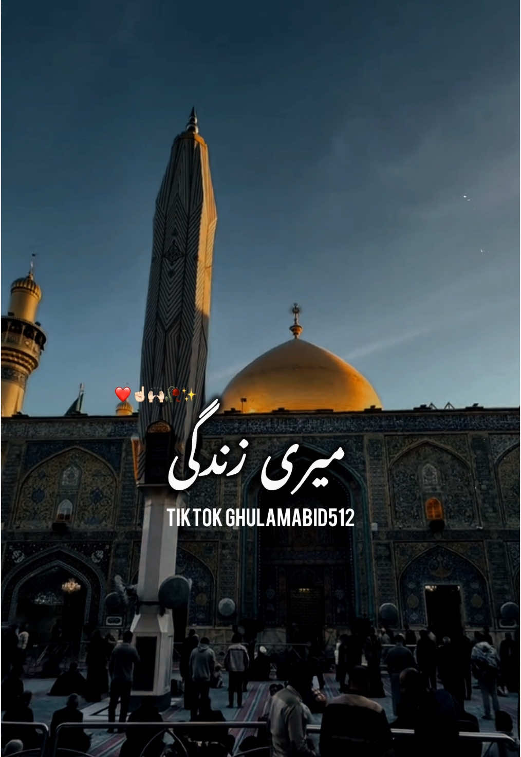 عشق علئ میری زندگی❤️‍🩹#thinkbigownbigge #foryou #foryoupage #virelvideo #ghulamabid512 #alimola #alimolaa #unfrezzmyaccount 