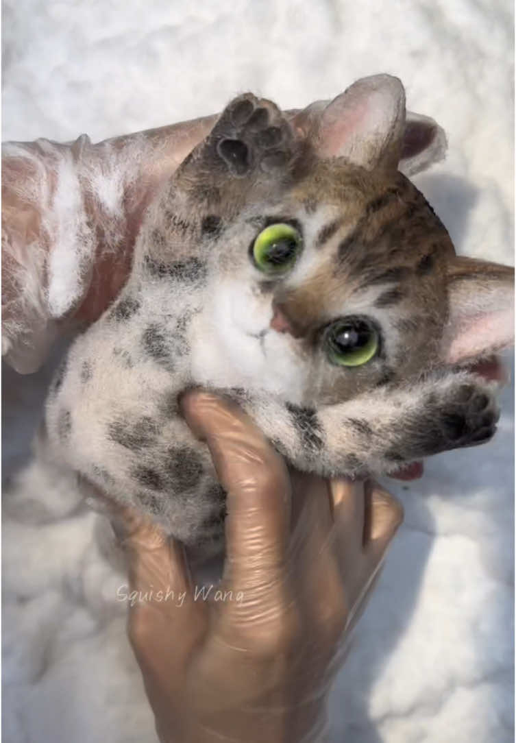 Handsome Bengal ocelot.#cat #art #bird #kitty #puppy #handmade #teddy #craft #squishy #custom #ragdoll #painting #DIY #fy #foryou 