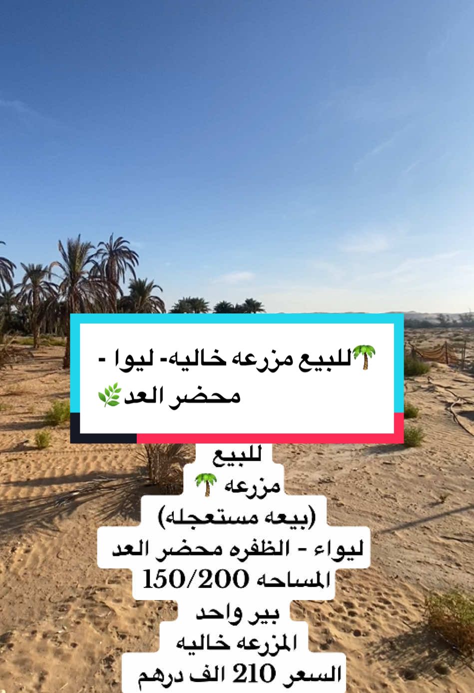 للبيع مزرعه 🌴 (بيعه مستعجله) ليواء - الظفره محضر العد المساحه 150/200 بير واحد المزرعه خاليه السعر 210 الف درهم 🌴 🌿 🌴 #ابوظبي_الامارات🇦🇪 #الامارات_العربية_المتحده🇦🇪 #ابوظبي_العين_دبي_شارقه_عجمان_الامارات #ليوا #غياثي #الغريبه