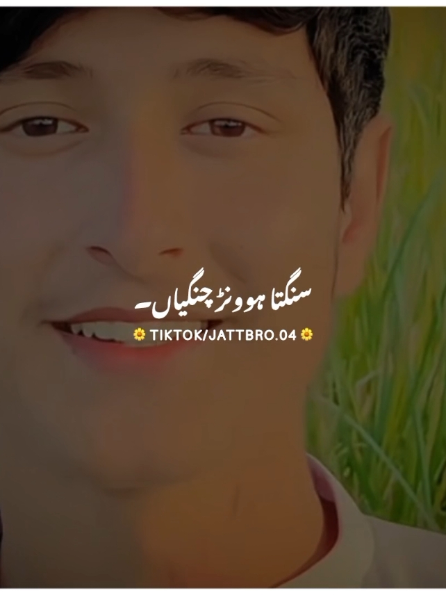 فیر یار رُلدے نئی 😔💔#foryou #foryoupage #burhan_tv #fyp #fypシ #viral #viral_video_tiktok #punjabipoetry #jattbro04 