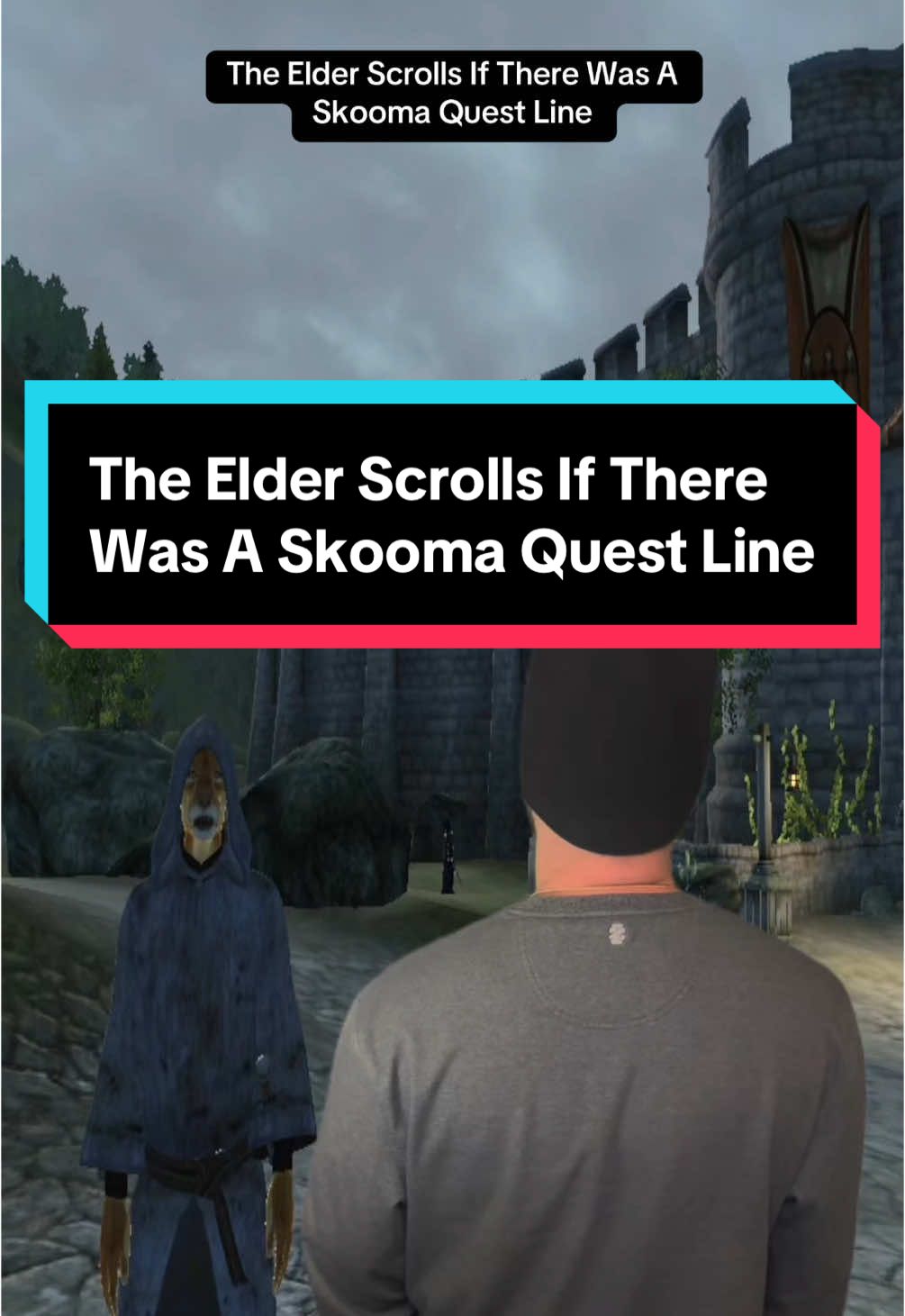 The Elder Scrolls world can be fun in the skooma trade. Just some of the highlights of Brotron’s journey #brotron #elderscrolls #skyrim #oblivion #skooma #theelderscrolls #videogames 