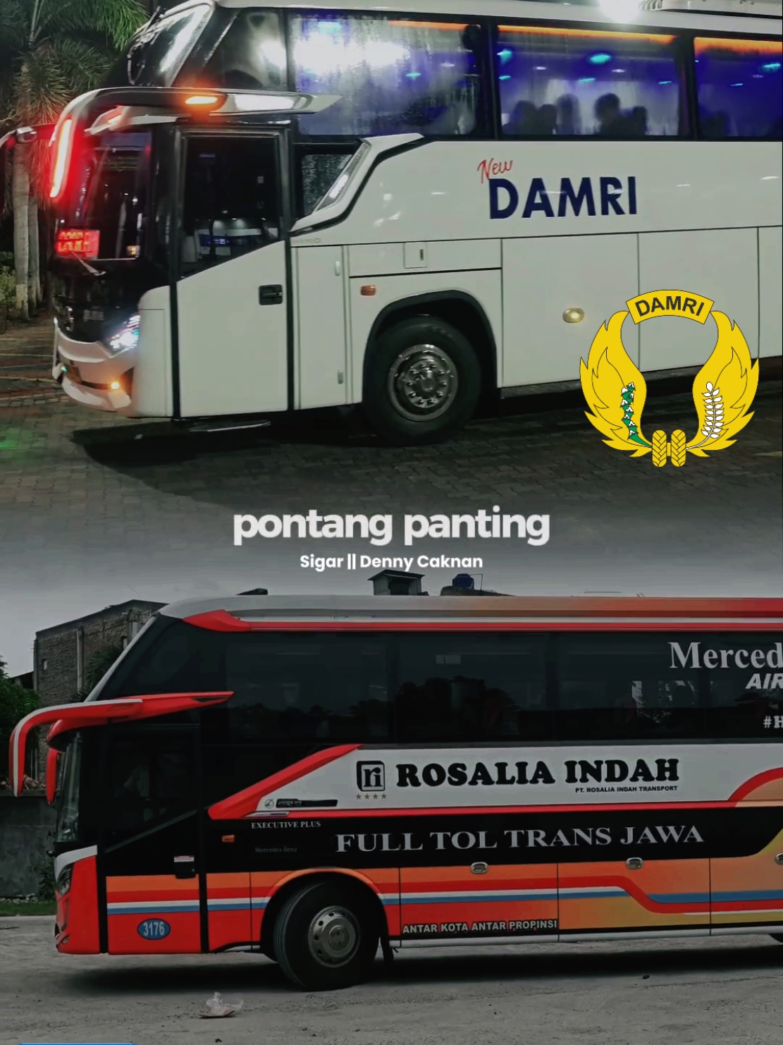 Edisi Compare Bus, apa bus kesayangan kalian 😁 Mana Suaranya Damri Mania.. 😊🙏 Mana Suaranya Rosin Garis Keras 🫰😎 #damri #damriindonesia #damrilampung  #rosaliaindahtransport #rosaliaindahofficial #holobisenakngebis 