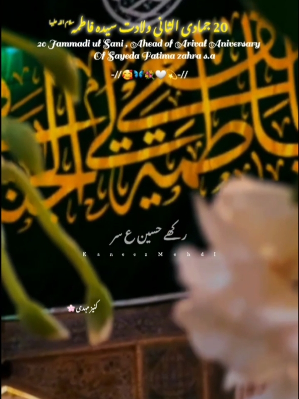 20 Jammadi ul Sani birthday Arival Aniversary of Sayeda Fatima zahra s.a 🎂💐🦋🤍#i-need-support #LearnOnTikTok #1millionaudition #growmyaccount #viralvide #pleasetiktokteamviralvideo #fyp #foryoupage #f #unfrezzmyaccount #unfrezzmyaccount #unfrezzmyaccount #kaneezMehdi 