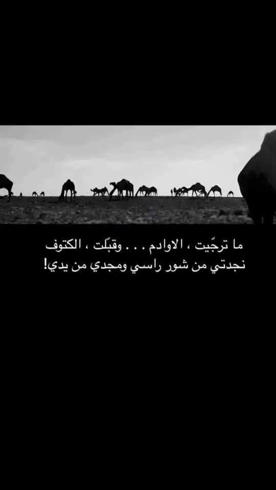 #شعر_شعبي 