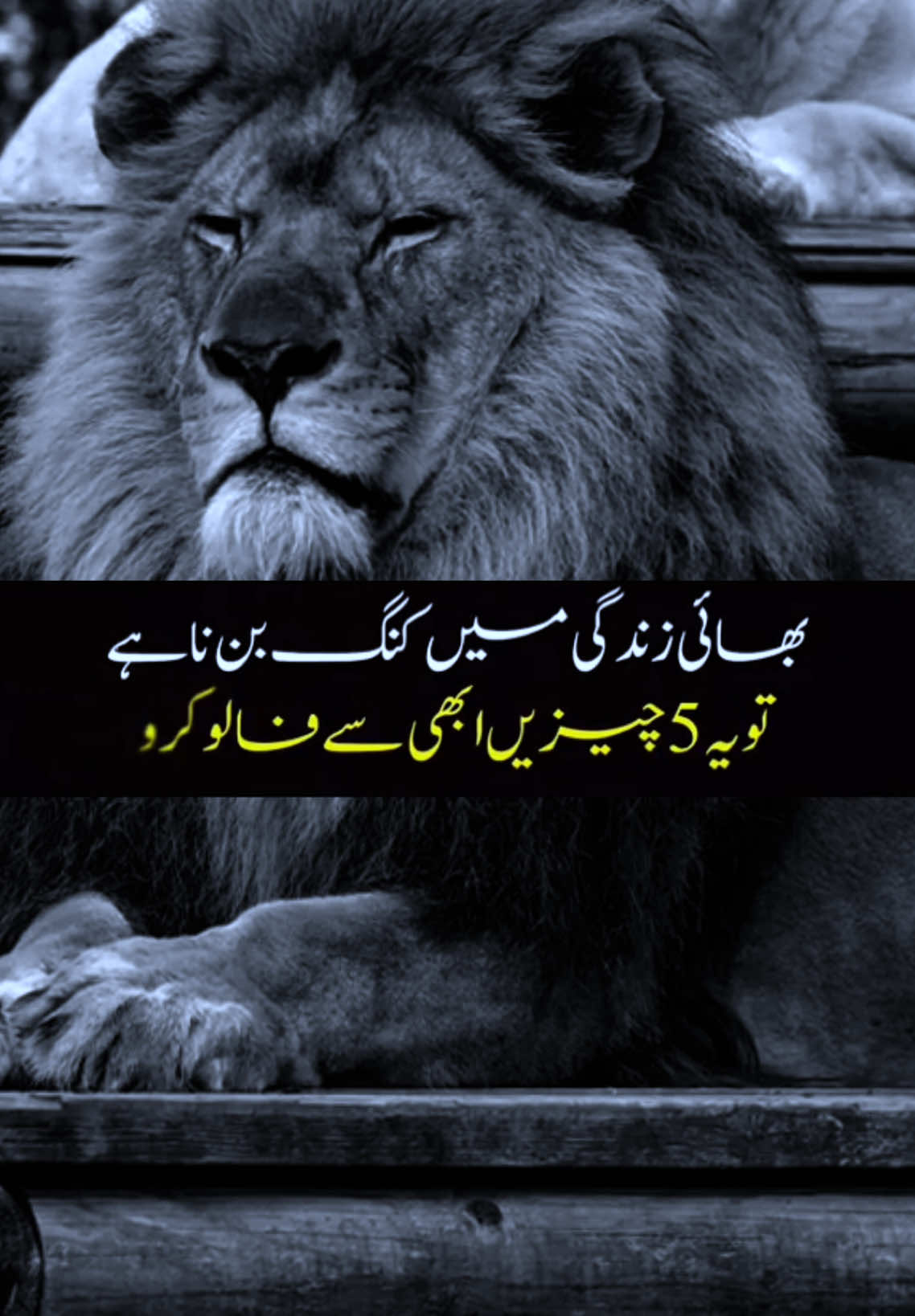 #urdumotivtion #amzingurdumotivion #urdumotivationalquotes #viraltiktok #fypシ #urdu #urduquotes #viralvideo @TikTok 