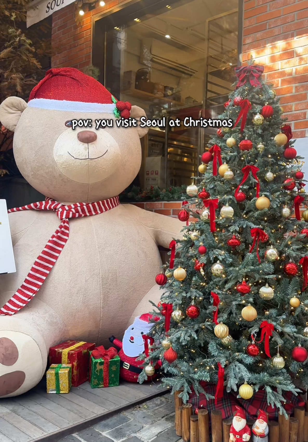 Christmas in Seoul is pure magic 🥹 📍Lotte Christmas market  📍Gwanghwamun Christmas Market 📍Coex mall starfield Library 📍Shinsegae department store Myeongdong 📍Lotte Young Plaza Myeongdong  📍Panier de M.moonie cafe  #christmasdecorations #seoullife #winterkorea #koreatravel