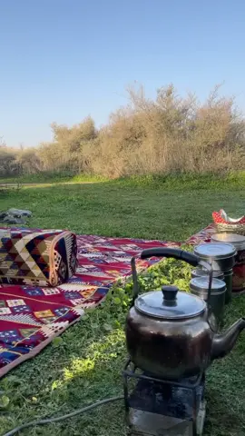 #الشمال 