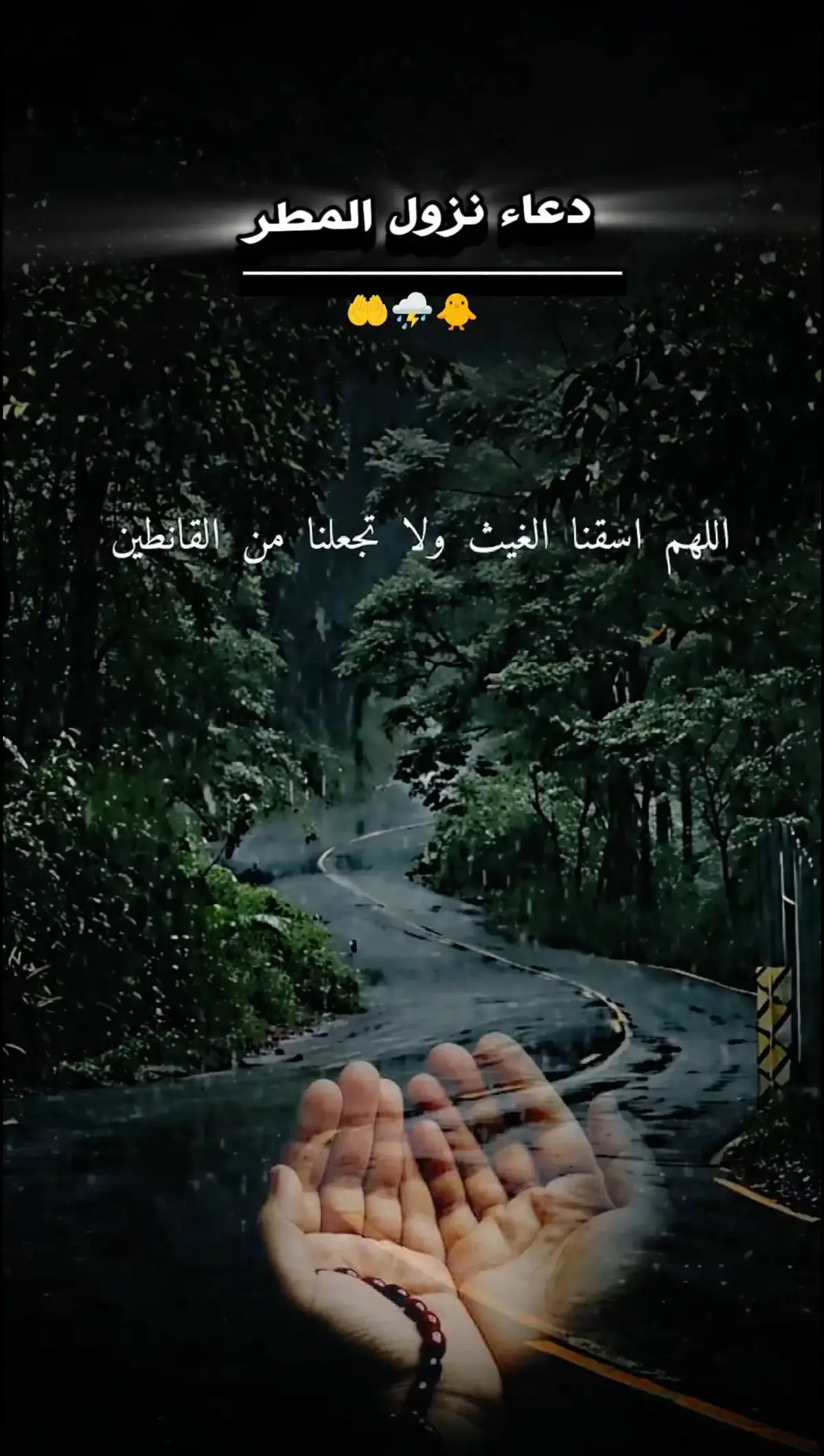 اللهم امين يارب 🤲⛈️🐥.... #دعاء #🤲#ماهرالمعيقلي #اللهم_صلي_على_نبينا_محمد #foruyou #قران_كريم 