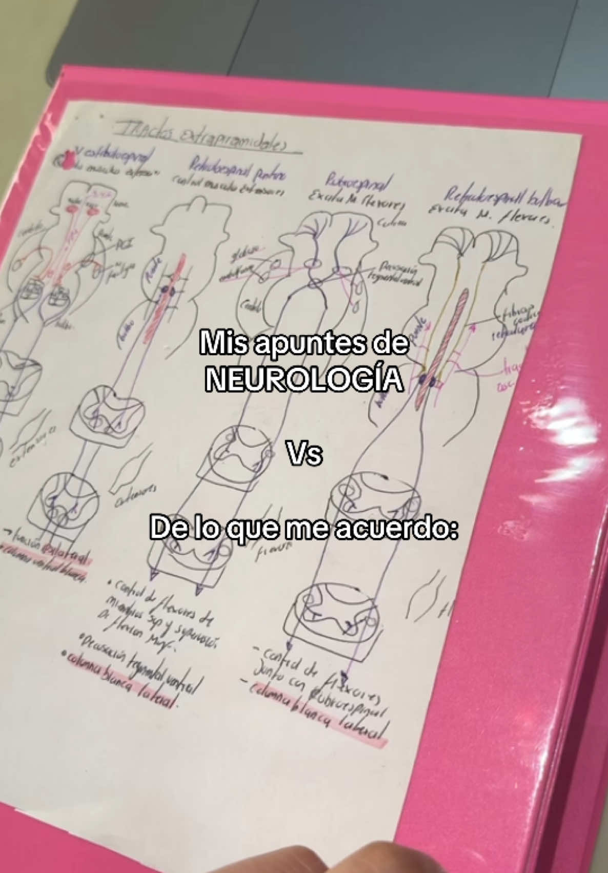 A pegar el repaso masivo 😍🤌🏼😭 #medicina #medstudent #doctor #neurologia #neuroanatomia #neurofisiologia #study #pov