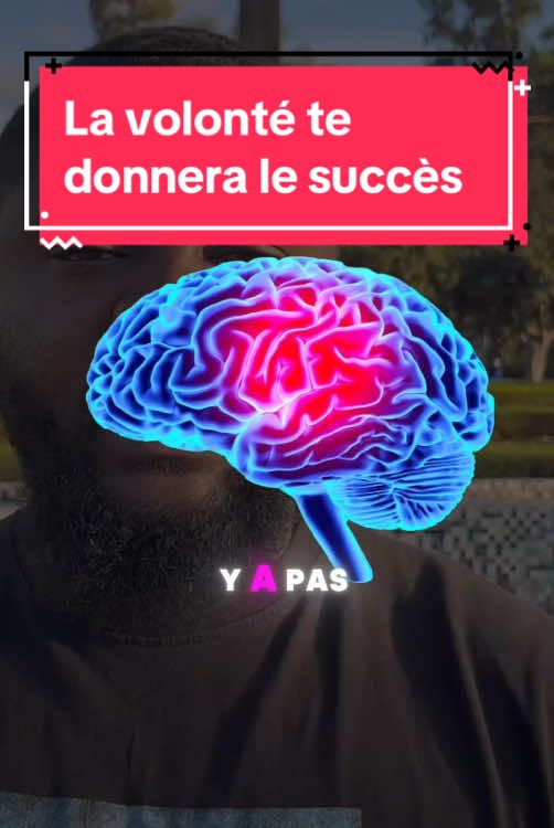 Y’a pas d’obstacle, il te faut juste la volonté pour réussir #conseil #motivation #nolimit @nolimit_dave 🍀 @nolimit @N O L I M I T @Nolimit Man 💪 @Nolimit_Game 💊 @Nolimit_Redpill 💊 @NOLIMIT FOREVER 🧠 @ 