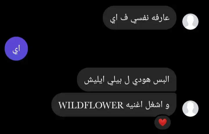 هودي بيلي ايليش | قطن 100٪ 🫶🏻 #بيلي_ايليش #billie #billieeilish #wildflower 