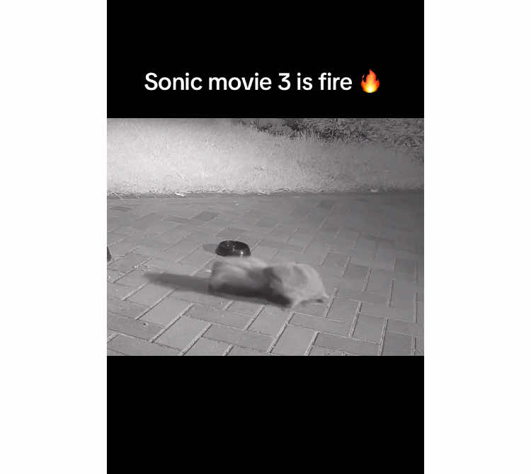 Iconic #sonicmovie3 #sonicmovie #shadowthehedgehog #sonicthehedgehog #sonicmeme #memes #fyp