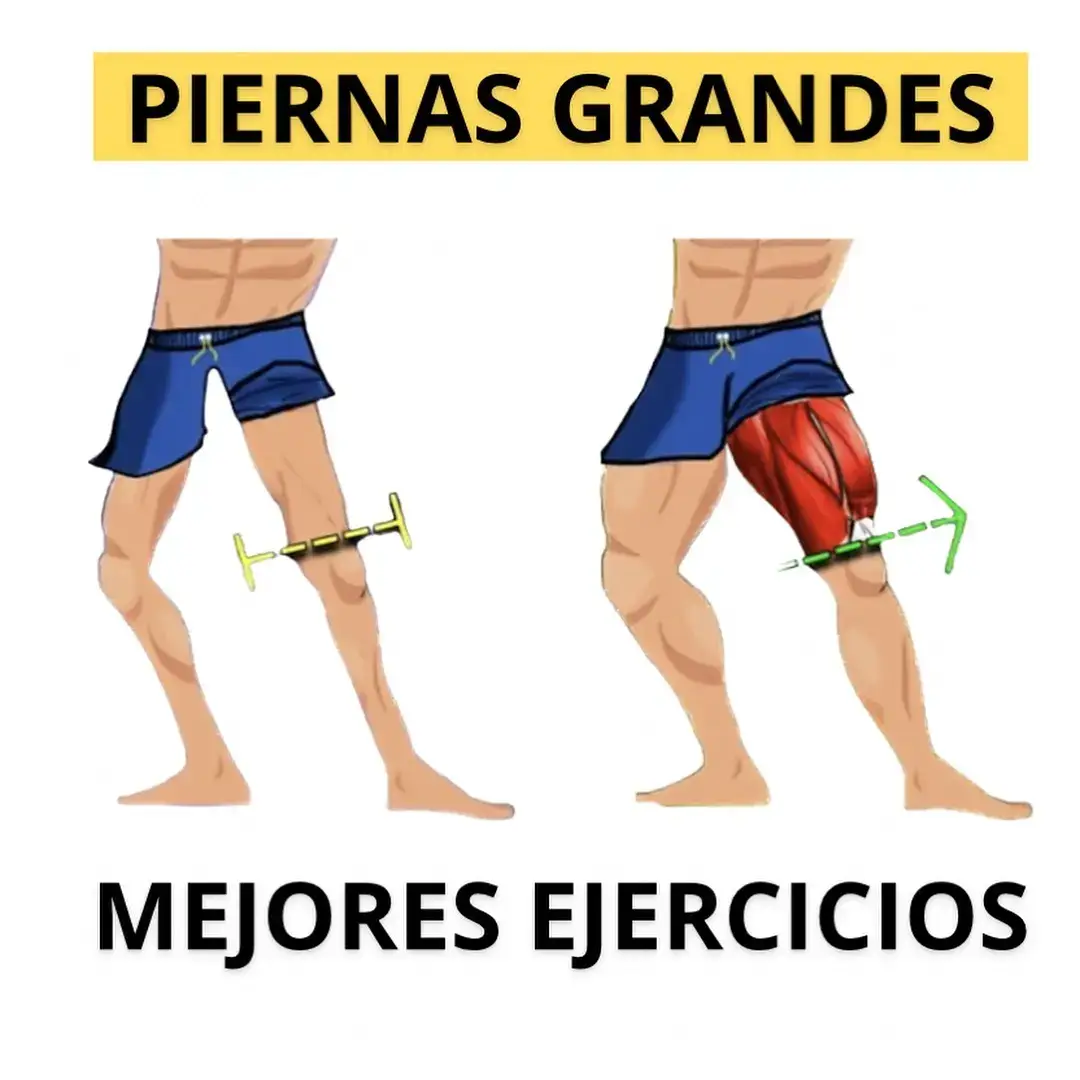 IG: Bautii.druetta - - - - #fitnesstips #fitnessmotivation #Fitness #mentality #motivation #ejercicio #Gym #bodybuilding #health #Fuerza #fit #fyp #argentina🇦🇷 #gimnasio #protein #grasa #tipfitness #fittip #fitnesstips #tipsfitness #shoulder #dragonball #vegeta #goku #tomplatz #cbum 