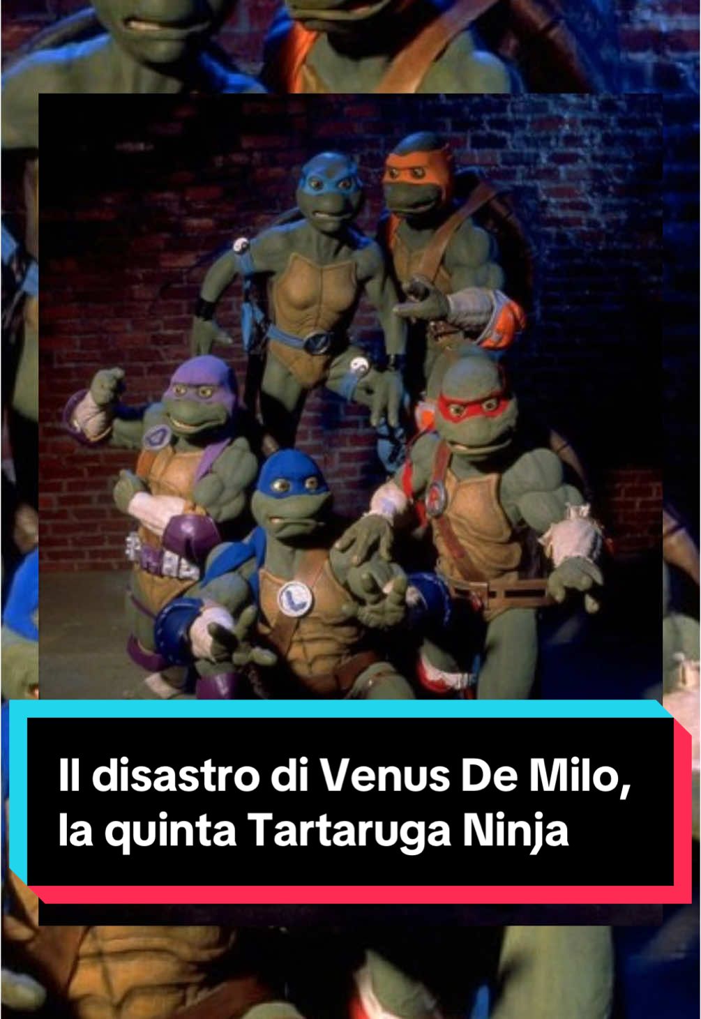 Il disastro di Venus De Milo, la quinta Tartaruga Ninja femmina (insta: edoardo__needo) #teenagemutantninjaturtles #tmnt #DaVedere