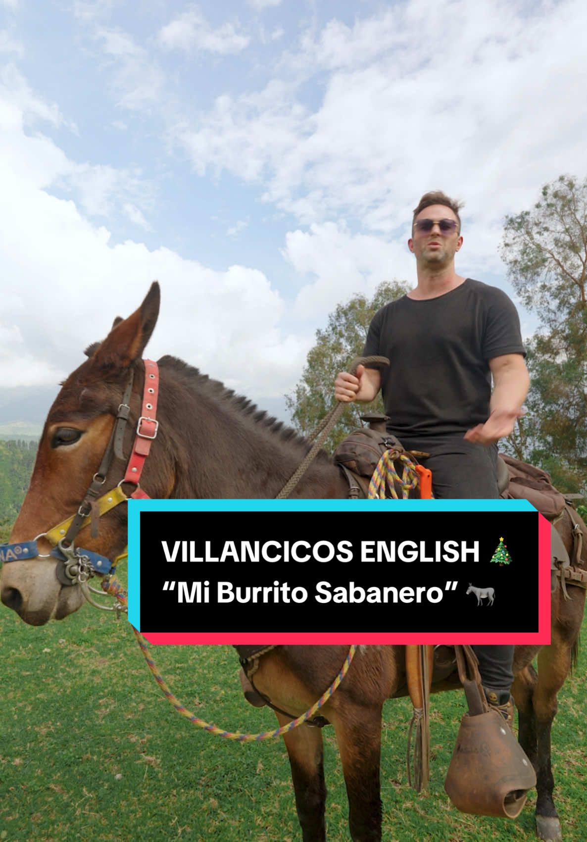 Así es “Mi Burrito Sabanero” en inglés. Gracias a La Juana en Neira, Caldas 🇨🇴🫏 por prestarme su mula Juana para esta grabación.  #tiktokcolombia #fyp #inglesonline #inglesfacil #navidadentiktok 