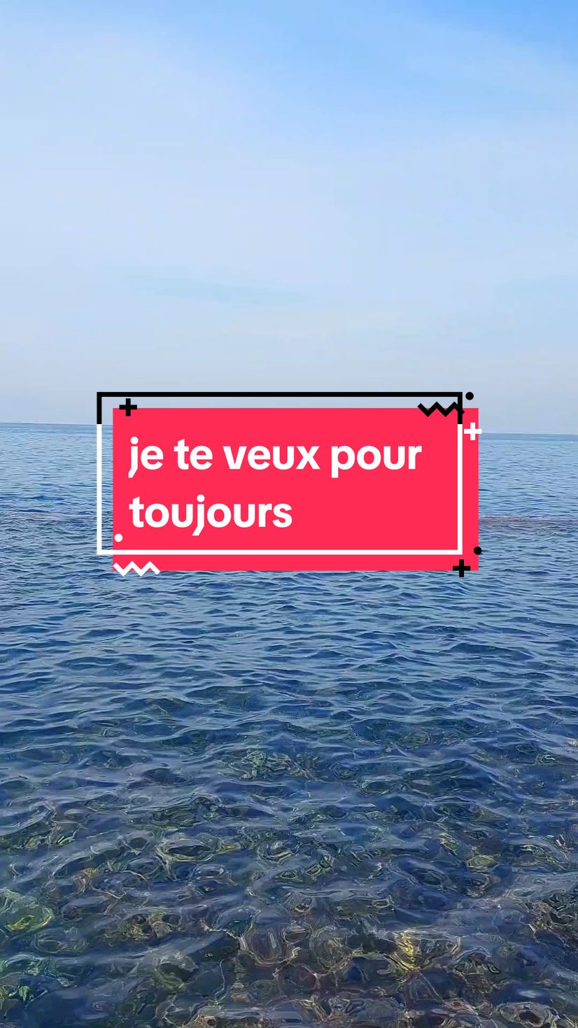 je te veux pour toujours... #apprendrelefrançais #تعلم_اللغة_الإنجليزية #apprendresurtiktok #consantanderconecto #france🇫🇷 #france #paris #تعلم_على_التيك_توك 