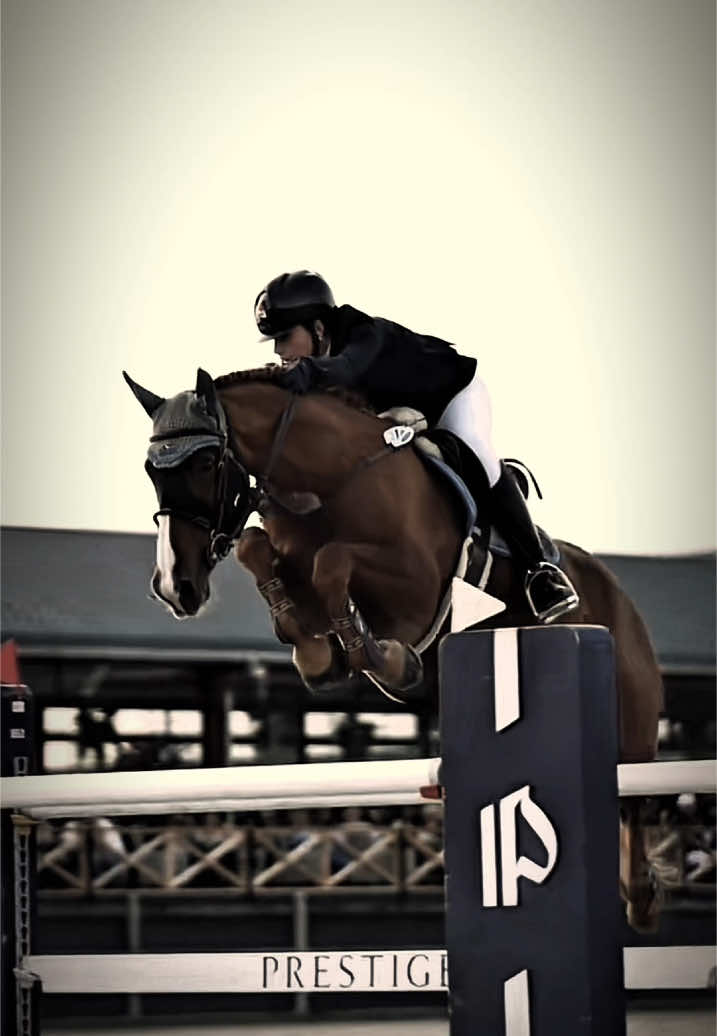 #SHOWJUMPING | 🤩❤️‍🔥 • tags ➪ #horse #equestrian #aura #horseedit #capcut #ccedit #cc #vsp #eqedit #blowup #viralvideo #horses #viral #foryou #fypp @˗ˏˋ_𝐆𝐊.𝐄𝐃𝟏𝐓𝐒._ ˎˊ˗ @..::•R★in•::.. @✦ 𝑺𝒂𝒚𝒐𝒔𝒉𝒊 ✦ @˗ˏˋ♡︎ 𝐊 𝐚 𝐭 𝐞 ♡︎ ˎˊ˗ @{~} 𝙰𝚛𝚛𝚘𝚠 {~} @𝗡𝗶𝗰𝗼𝗹𝘆 𝗴𝗮𝗯𝗿𝗶𝗲𝗹𝘆 @_.h0rse_ed1ts._ @✩𝑴𝒊𝒂✩ @↫ꨄ𝐌𝐚𝐬𝐡𝐞𝐧𝐤𝐚ꨄ↬ @E. @𝑯𝒐𝒓𝒔𝒆 𝒆𝒅𝒊𝒕𝒔 @★•𝒉𝒐𝒍𝒍𝒚•★ @★•Axel•★ @★𝒶𝓁𝒾𝒸𝑒★🐴 @ᵉˡˢ @🌷୨ˋ𝑳𝒊𝒗ˊ୧🌷 @Eryn 🏎️🐴🪄 @ninja @gigi ౨ৎ 