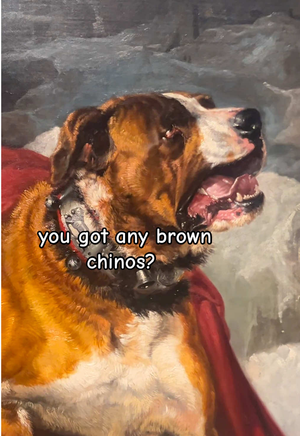 Chinos #museum #painting #servicedog #mountain #italian #saintbernard #rescue  