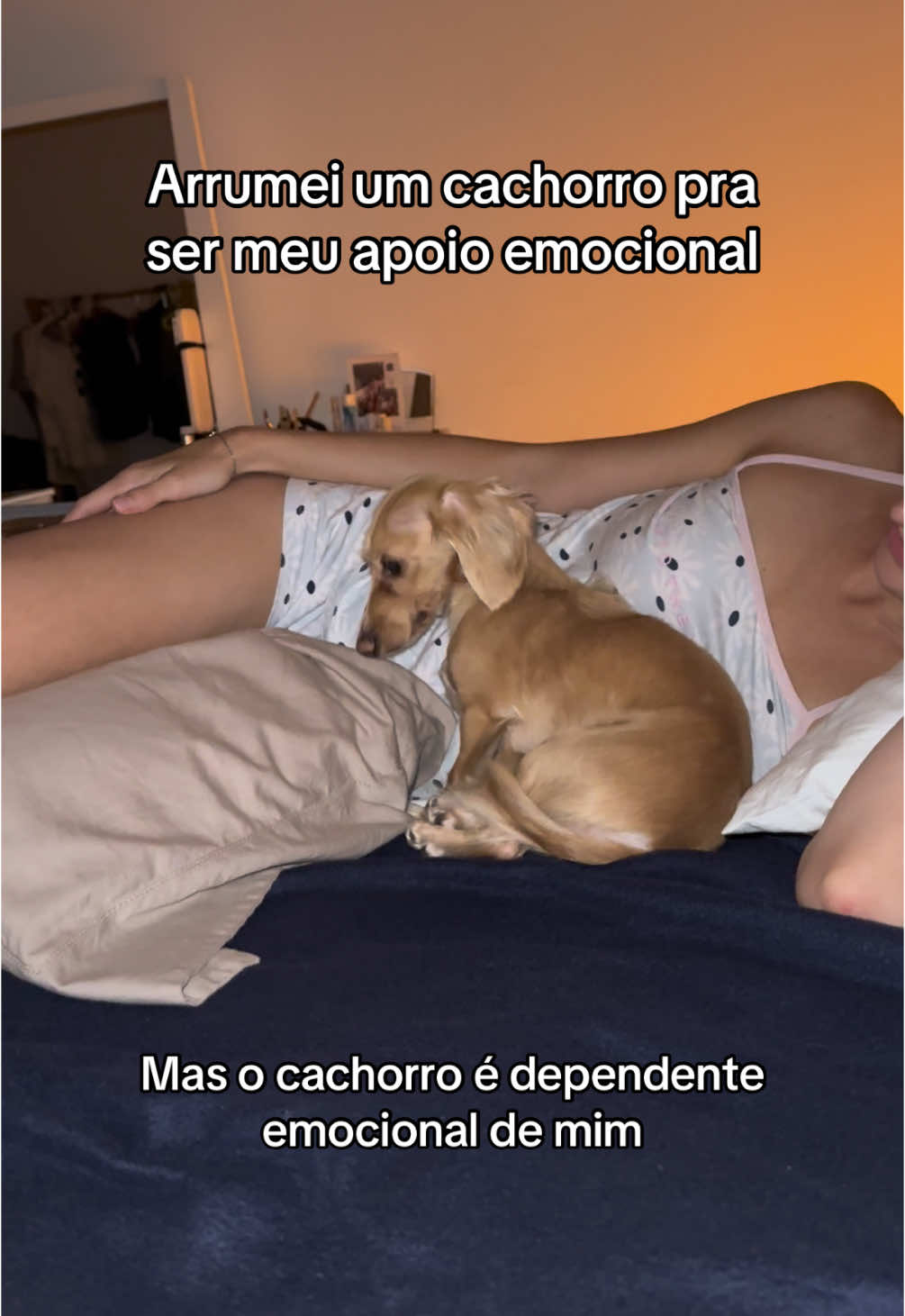 🥺🥺 #cachorro #dachshund #cachorrosalsicha #pet #salsicha #dog #pov #fyp #meme #humor 