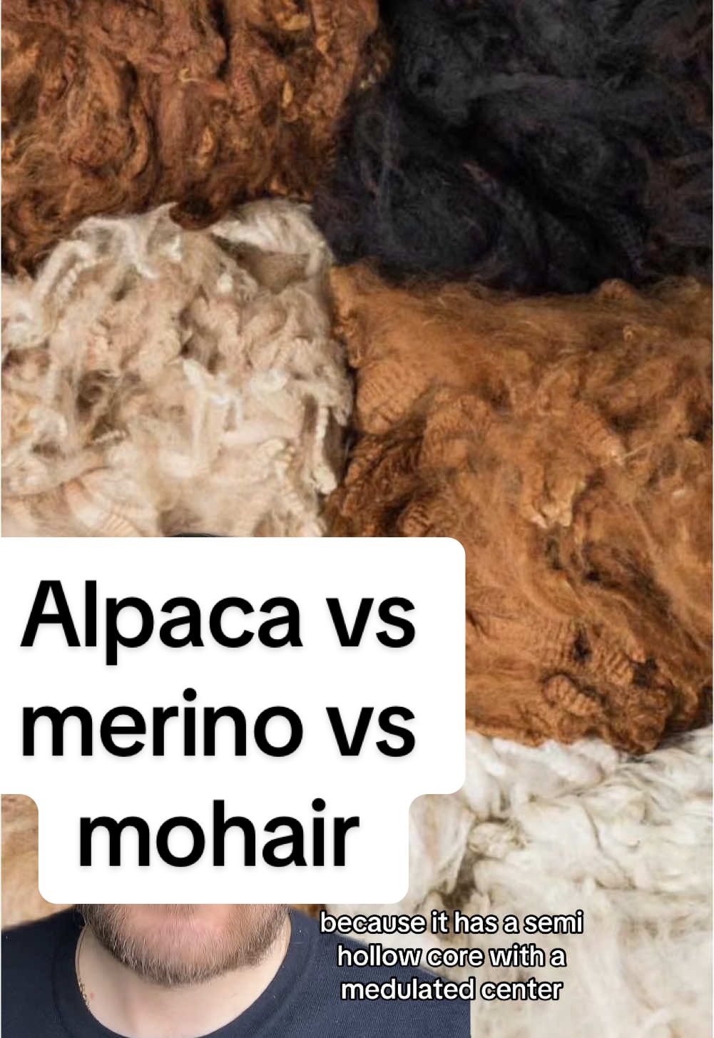 The differences between alpaca, merino wool and mohair in general and for knitwear #knitwear #alpaca #babyalpaca #merinowool #mohairsweater 