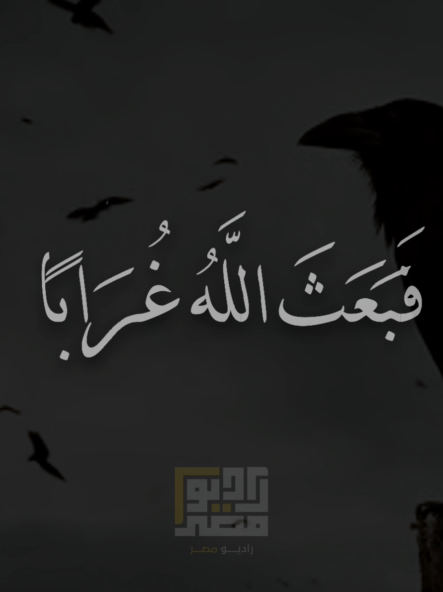 السلطان الشيخ سيد سعيد ♥♥ .  #quran #السيد_سعيد #قران  #الشيخ_سيد_سعيد #قران 