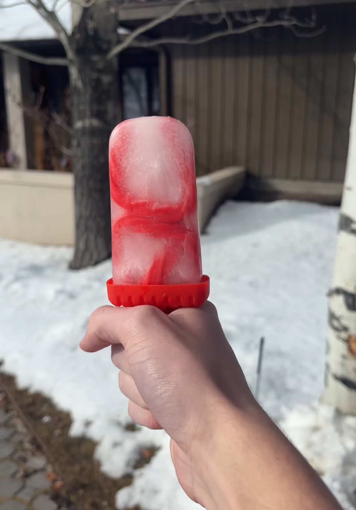 The result of The Reindeer Rope🦌 I love being a reindeer and this was so good🎉 #reindeer #rudolph #christmas #popsicle #santa 