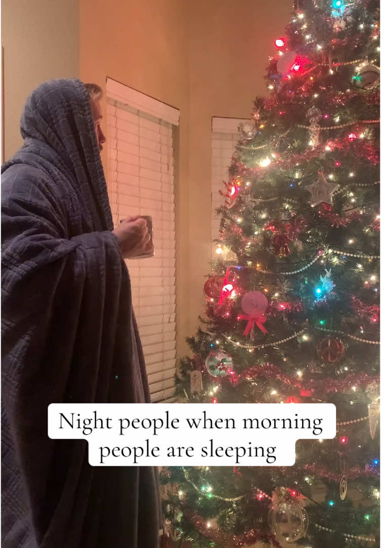 It do be like that #morning #night #morningpeople #nightowl #loud #funnyvideo #fypシ #quiet #christmas #sleeping #obnoxius 