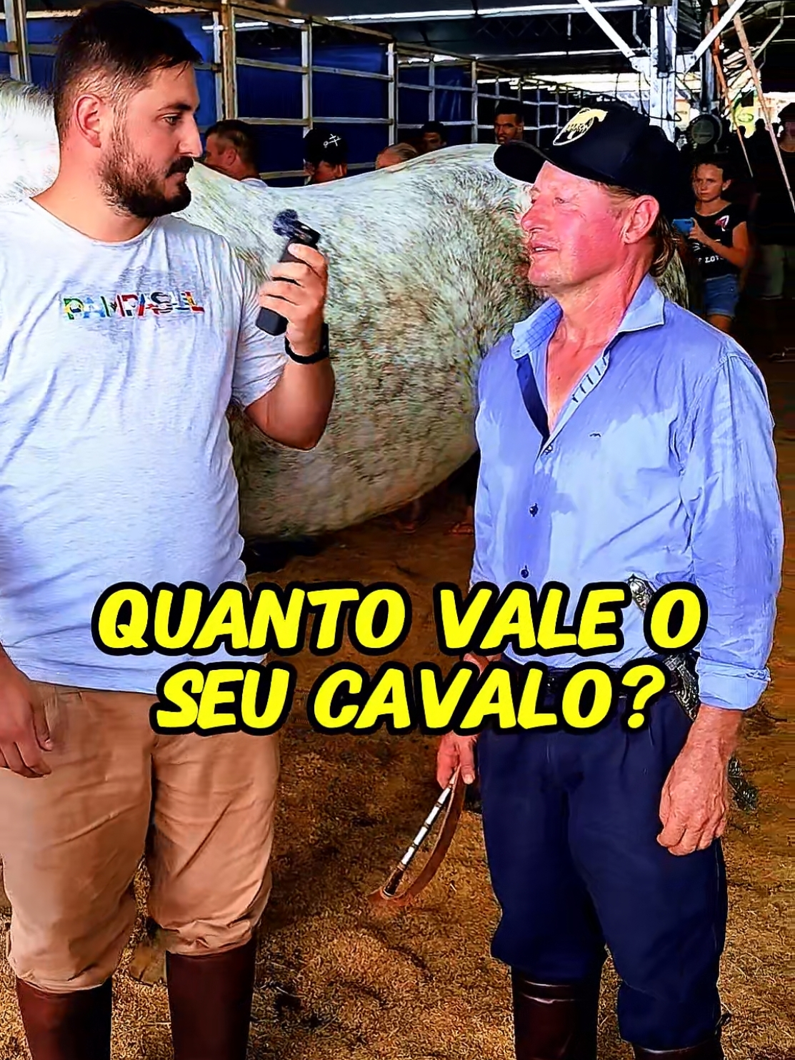 Quanto Vale? #agro #fazenda #cavalo #rodeio #animais 