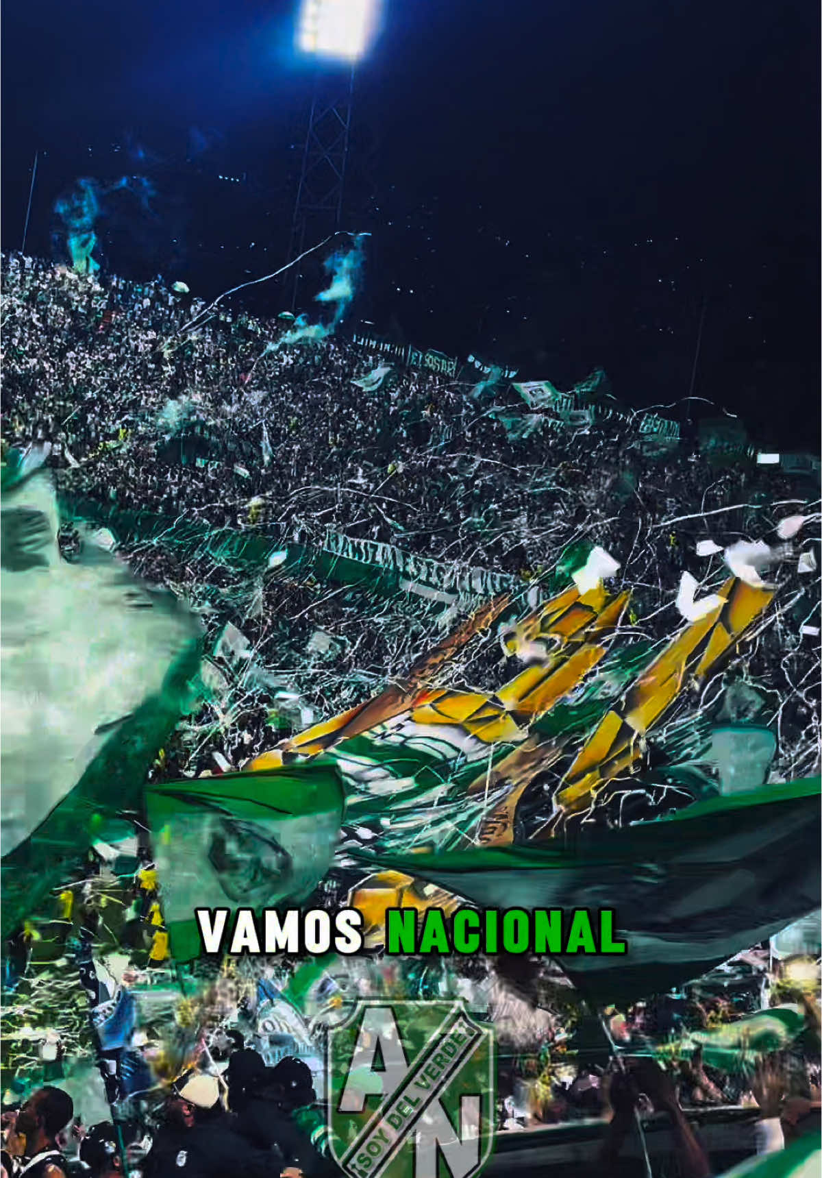 Vamos Mi Verde⭐️🟢⚪️ #soydelverde #atleticonacional #soydelverdesoyfeliz #vamosnacional #fyp 